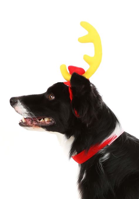 Grinch Max Dog Dr. Seuss Costume