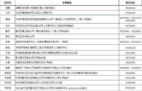 宁波市人才服务申报系统