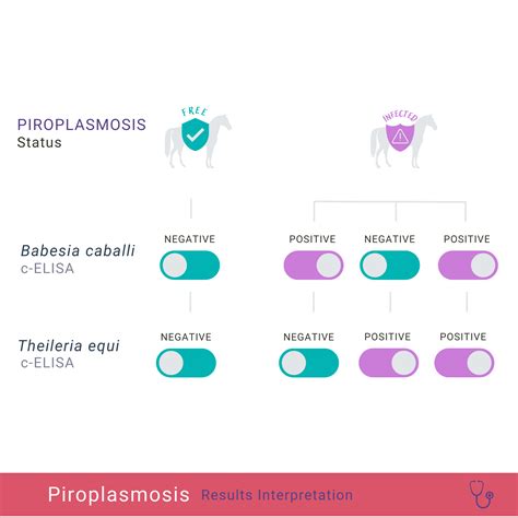 Equine Piroplasmosis cELISA Test - Accurate & Fast Results for ...
