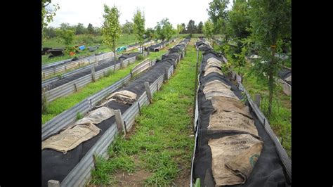 Commercial Worm Farm Design 的图像结果