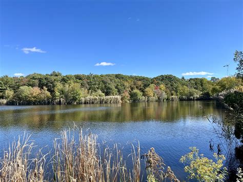 Bristol Community College Pond | Viva Fall River