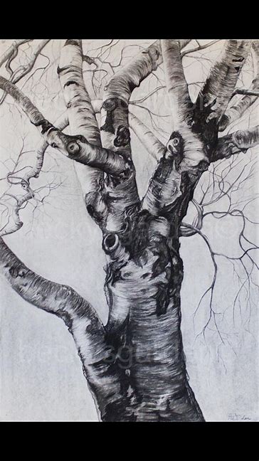 how to draw realistic clouds pencil