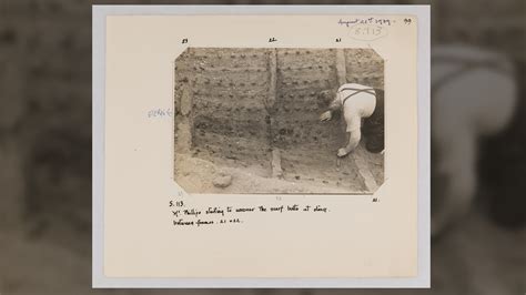 Sutton Hoo Dig 的图像结果