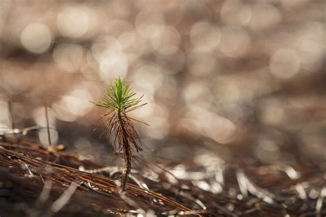 Insurance Industry 的图像结果