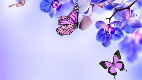 Blue and Purple Butterfly Wallpapers - Top Free Blue and Purple ...