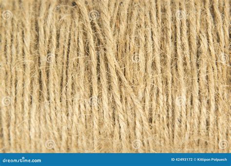 Image result for Natural String