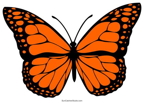 Monarch Butterfly Template Printable