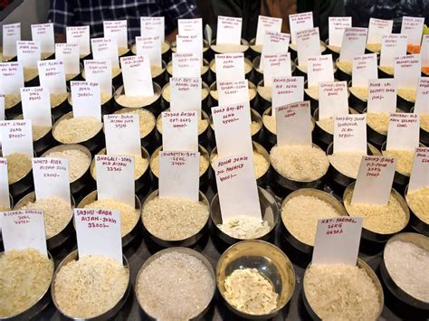 Iran tensions threaten India rice exports with shipping snags, payment ...