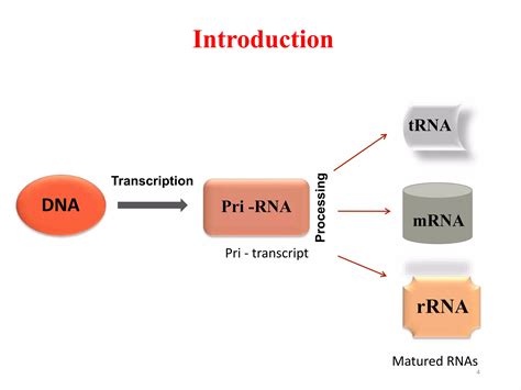 post transcriptional modifications | PPTX