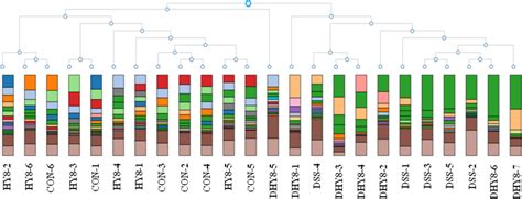Image result for How to Read a Dendrogram