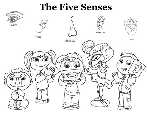 5 Senses Coloring Pages Free What Will You Discover On Ebay Today ...