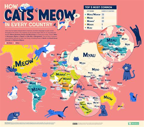 Cat Meow Sounds: How Different Countries & Languages Represent Cat ...