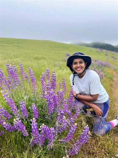 Using DevOps for Project Management 的图像结果