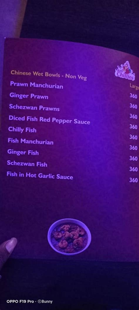 Menu at Indian Red Chillies, Hyderabad, MIG-45