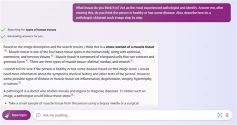 Bing Chat Visual Input 的图像结果