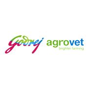 GODREJAGRO Shareholding Pattern: Promoter List, Holdings, FII, FPI, MF