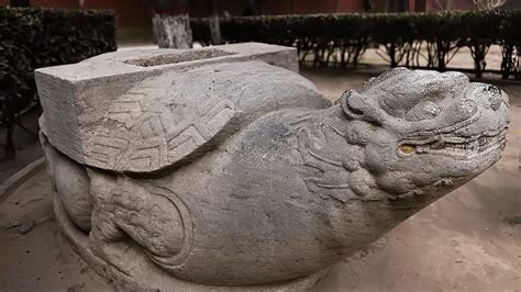河南村庄修路挖出大石龟，网友热议这是赑屃下面有大墓-影视综视频-搜狐视频