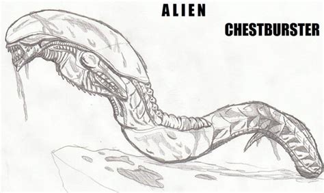 Alien Chestburster Drawing 的图像结果