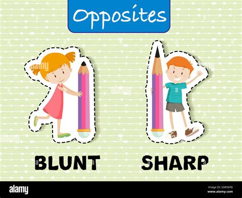 Opposite words for blunt and sharp Stock Vector Image & Art - Alamy