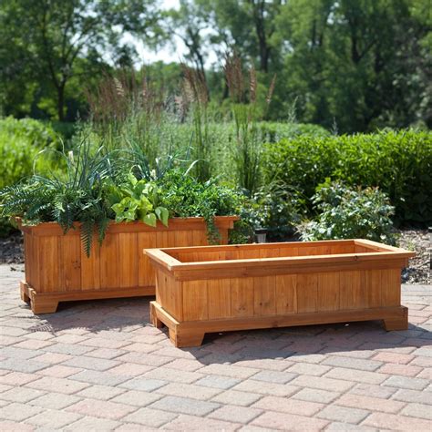 Best Large Plants For Planter Boxes at Anna Maxine blog