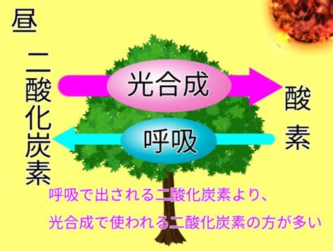Learn OS Module Python From Beginning に対する画像結果