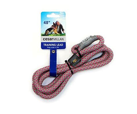 Cesar Millan Slip Lead Leash | Dog Leash | in Training Leash | (Regular ...