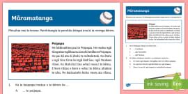 Exercise Reading Comprehension Worksheet / Worksheet - Te Reo Māori