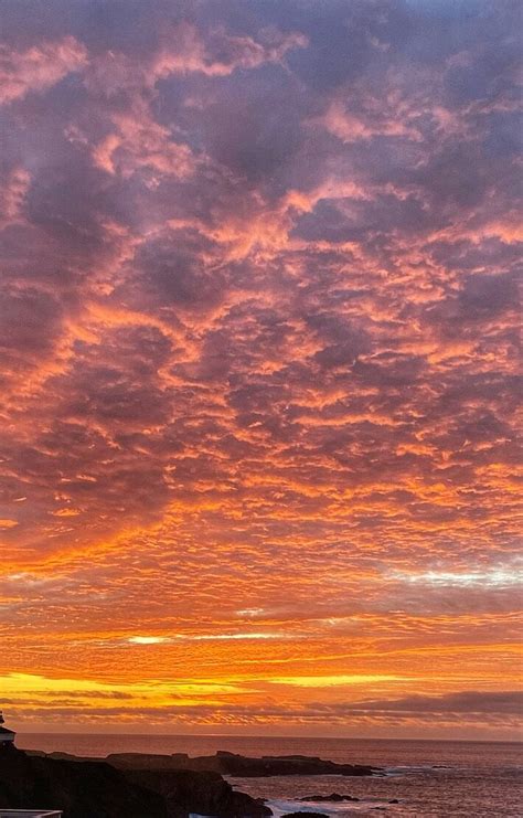 SEA ROCK INN (Mendocino) - B&B Reviews & Photos - Tripadvisor