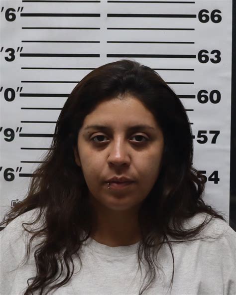 Jail Roster | Pratt County Sheriff