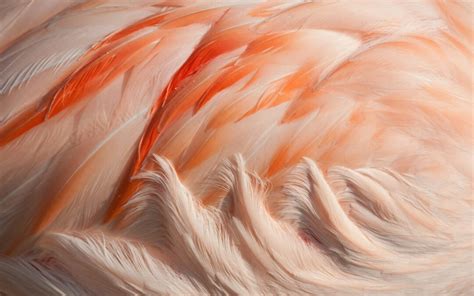 Fallibility 的图像结果