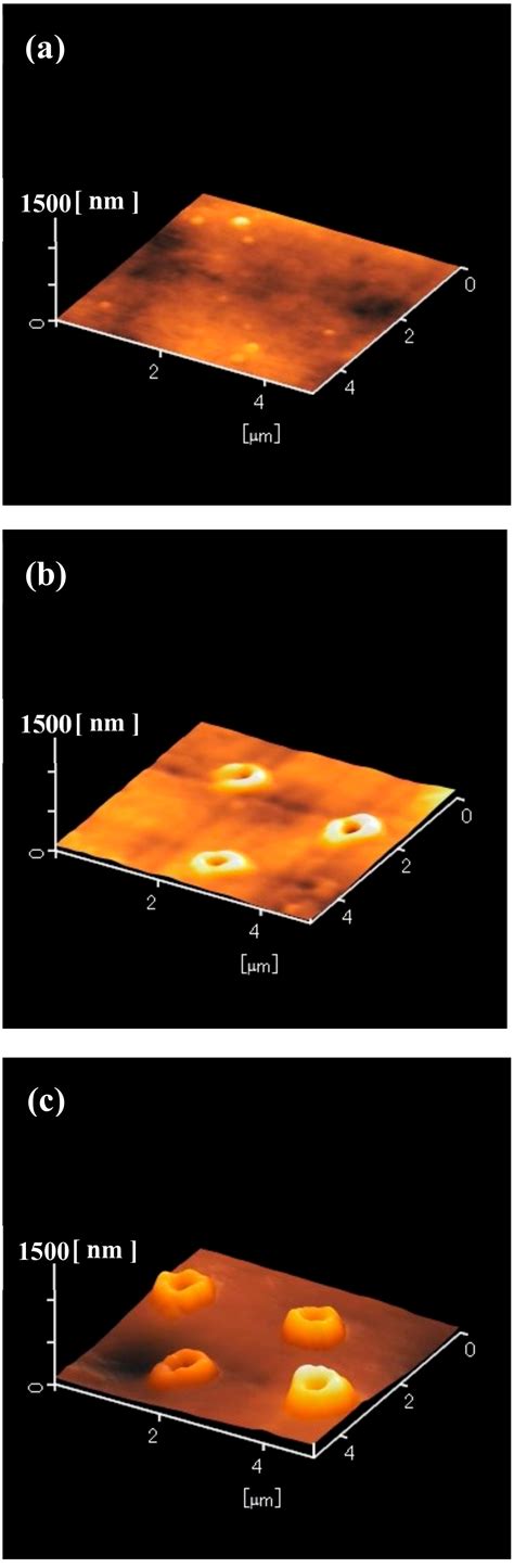 Fabrication of Superhydrophobic Silicone Rubber with Periodic Micro ...