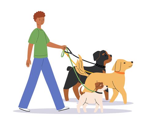 Young man walking with cute dogs. Happy pet owner with rottweiler, labrador retriever, jack ...