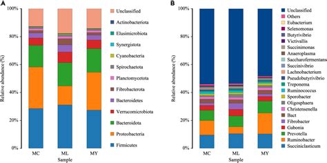 Frontiers | Alterations in the rumen bacterial communities and metabolites of finishing bulls ...