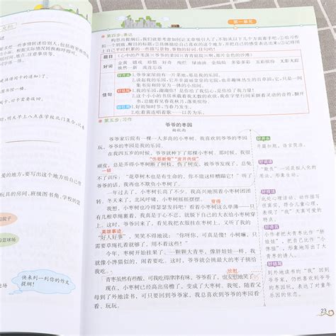 小学三年级语文下册燕子_人教版小学课本