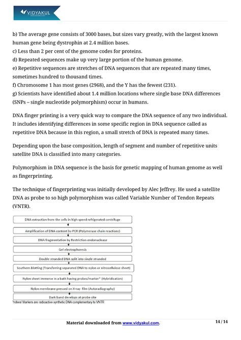 Image result for Molecular Basis of Inheritance Class 12 PDF
