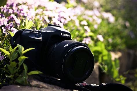 Digital SLR User 的图像结果