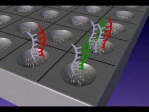 Image result for Microarray Types