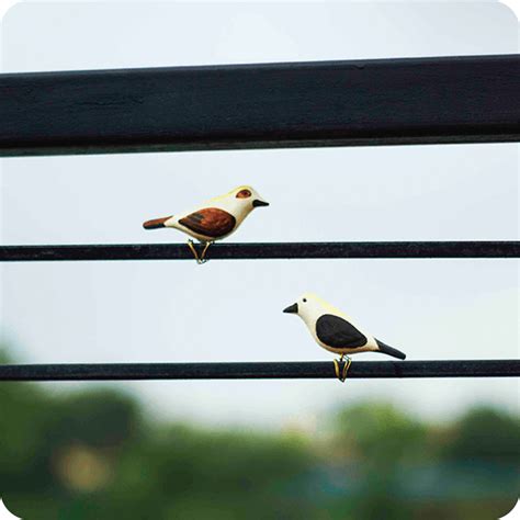Peppy Pops - Baya Weaver (A Pair)