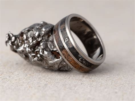 Titanium Wedding Ring with Meteorite, Megalodone Tooth & Triceratops ...