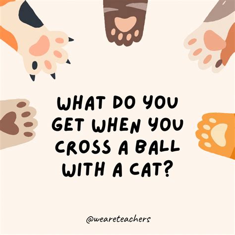Cat Jokes For Kids