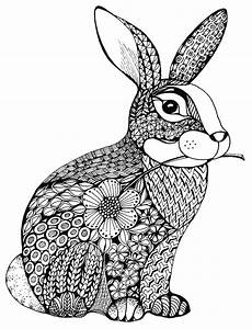 ostern ausmalbilder erwachsene der pl 252 schige hase im tangle design und dazu der ostern ausmalbilder erwachsene der pl 252 schige hase im tangle design und dazu der