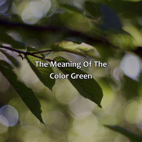 What Does The Color Green Mean - colorscombo.com