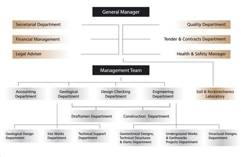 Function Structure of Company 的图像结果