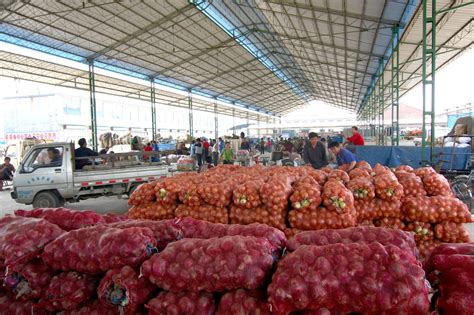 临沂嘉兴水果市场正式开业 打造新一个全国一级批发市场 | 国际果蔬报道
