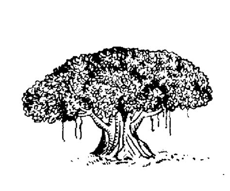 Election Voting Symbol 的图像结果