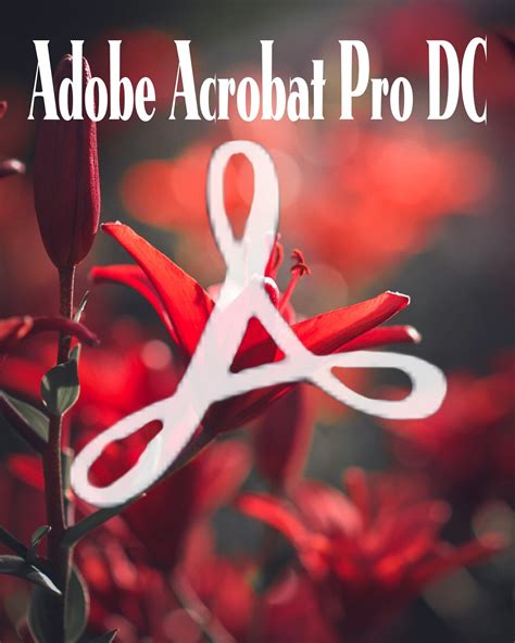 Adobe Acrobat Pro — 22 отзыва покупателей, рейтинг 4.6