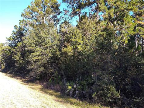 0 Highway 185, Saint George, GA 31562 | Zillow