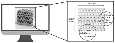 Towards 3D Multi-Layer Scaffolds for Periodontal Tissue Engineering ...