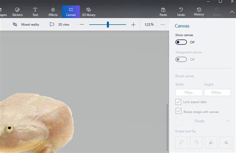 How to use Windows 10 Paint 3D to remove white backgrounds and make ...