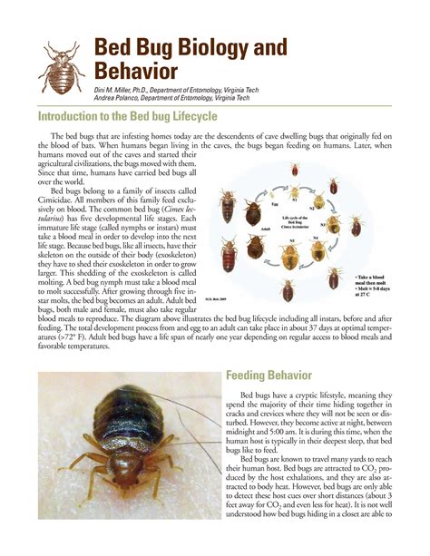 Bb-biology 1 - Biology of ectoparasites - Bed Bug Biology and Behavior Dini M. Miller, Ph ...